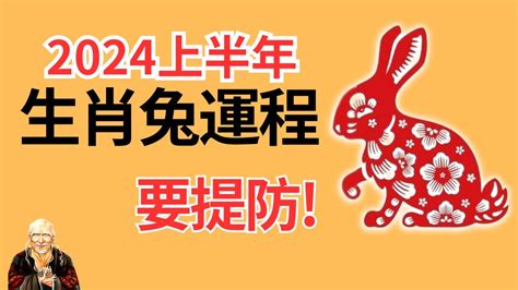 2024属兔运势|【屬兔2024生肖運勢】是非多人氣旺，運勢漸入佳。